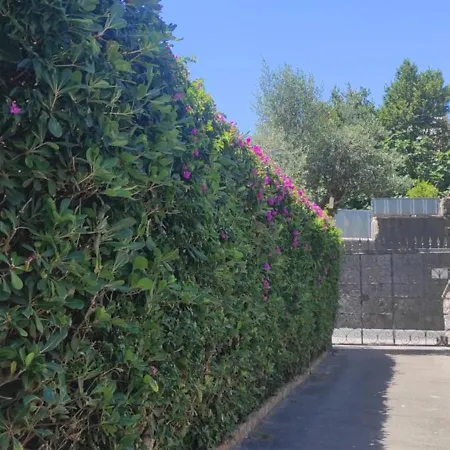 別荘 Capercia Forio di Ischia